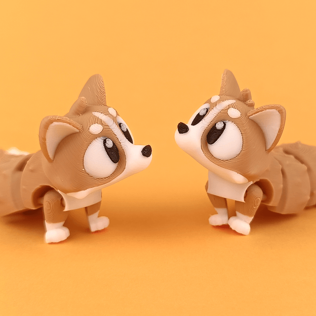 Corgi