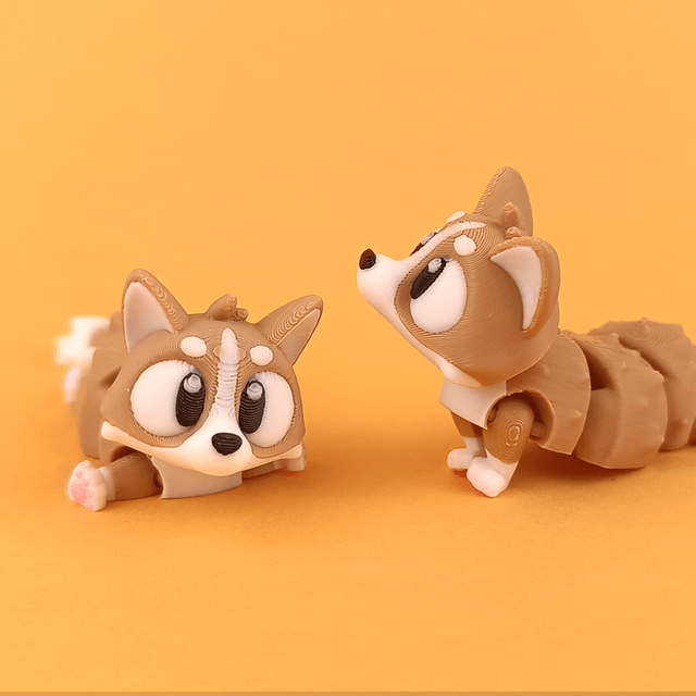 Corgi