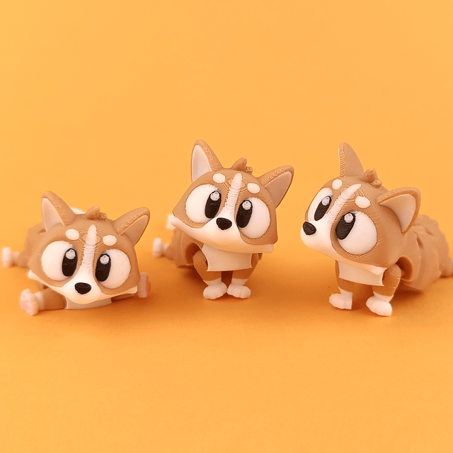 Corgi