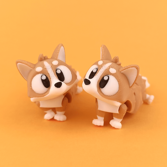 Corgi